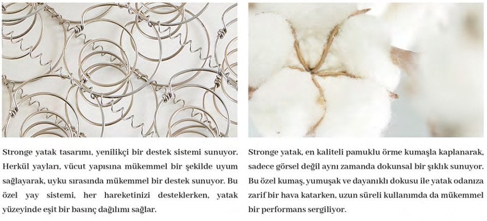 stronge-baza-set