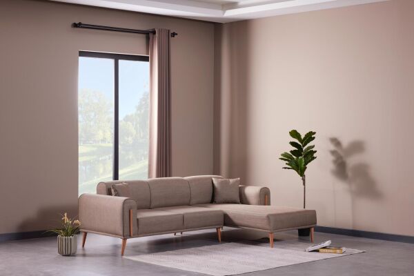 Asel Köşe Takımı