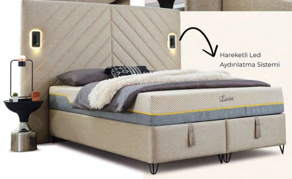 Wings Başlık Modeli